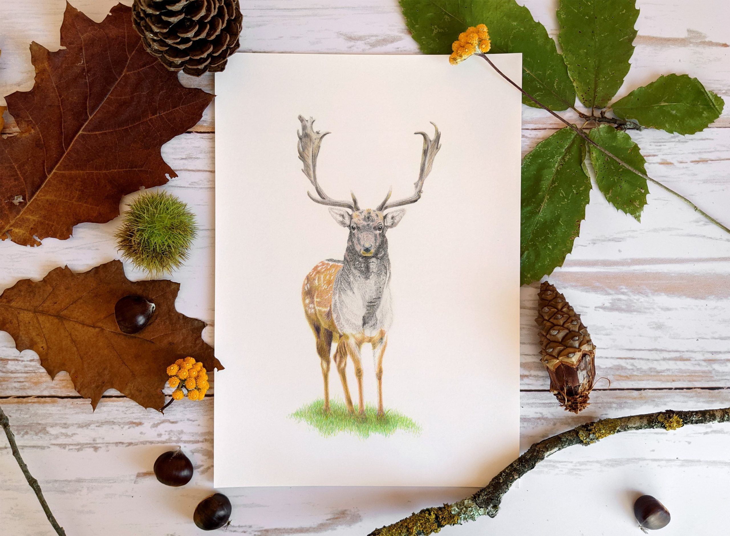 Le Cerf – Image 6