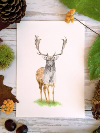 Le Cerf