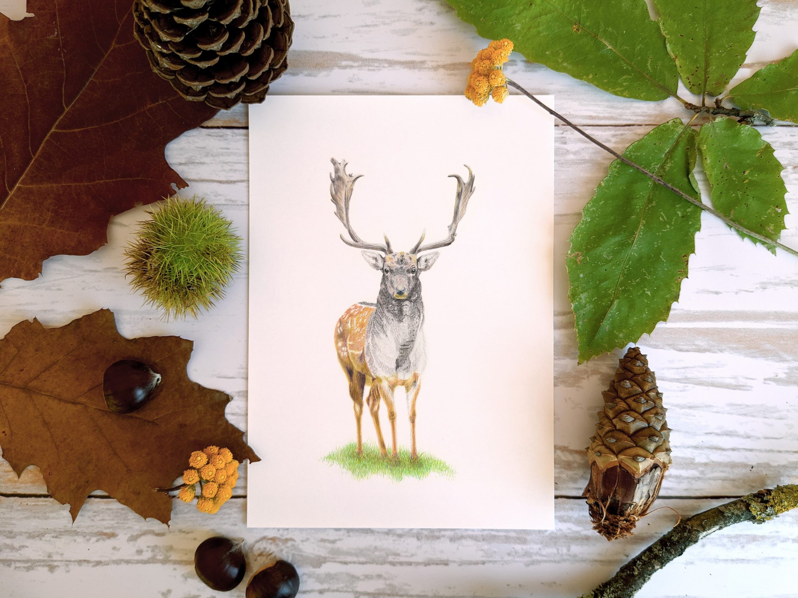 Le Cerf