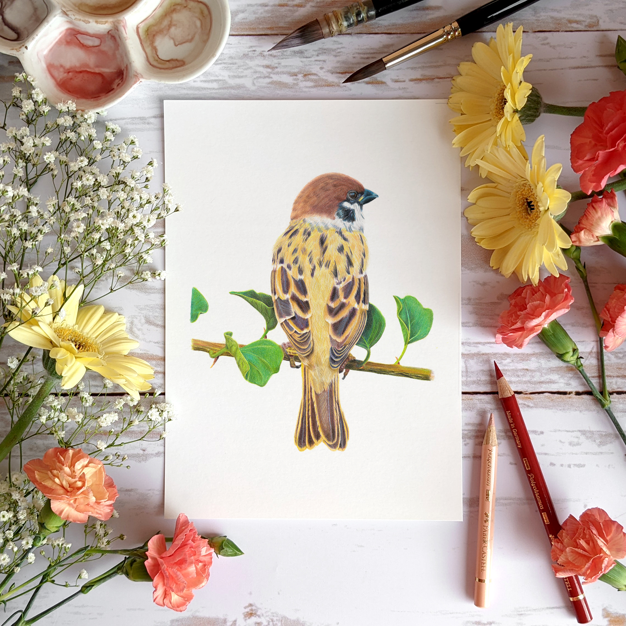 Le Moineau friquet - A5