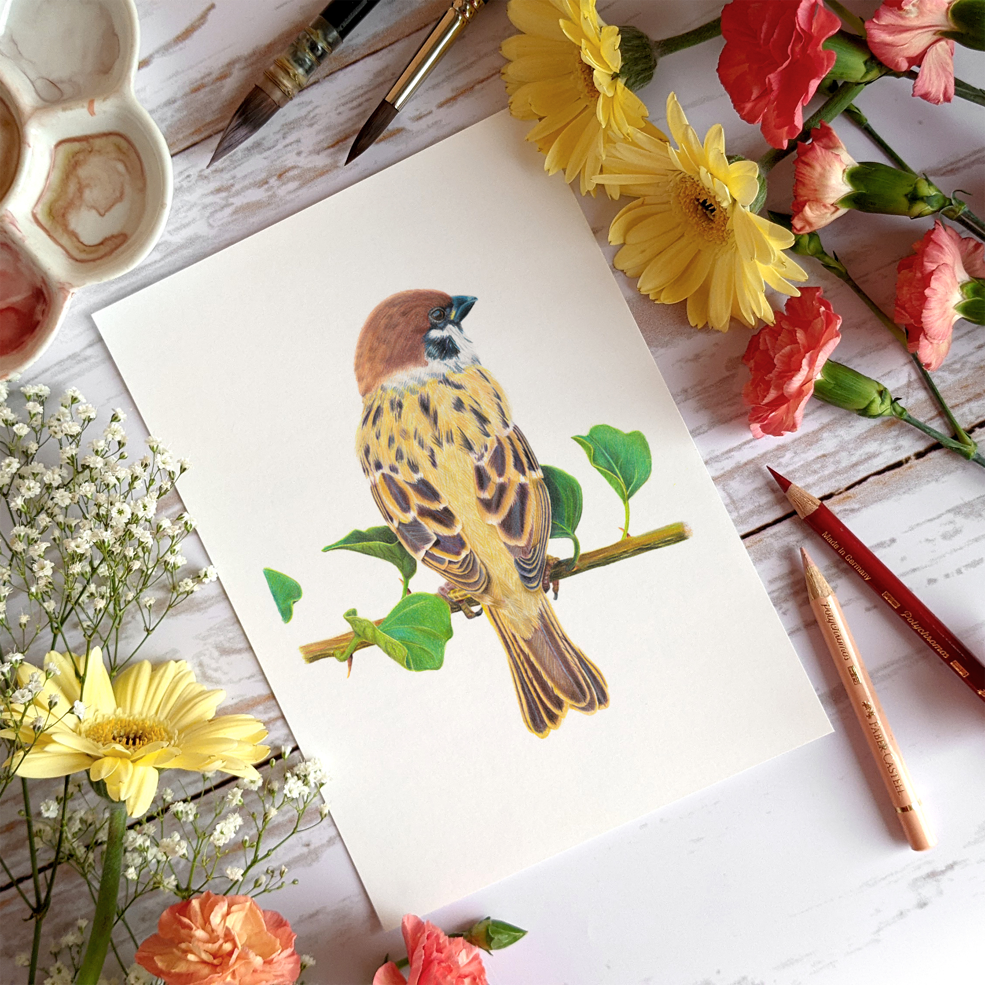 Le Moineau friquet - A5 – Image 2