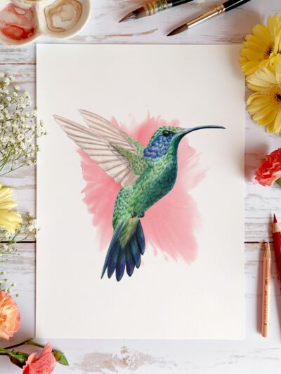 Le Colibri