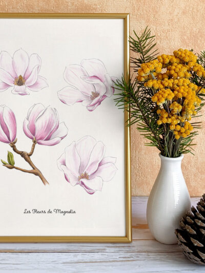 Les Fleurs de Magnolia