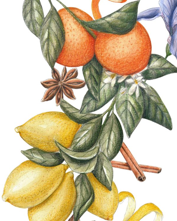 illustration-accueil